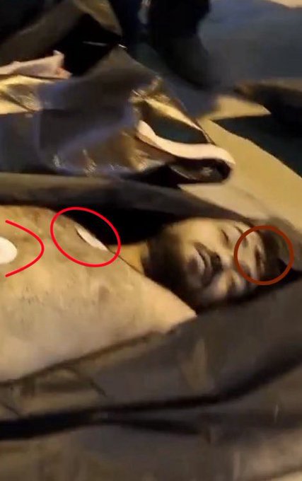 Dr. Eli David tweet media