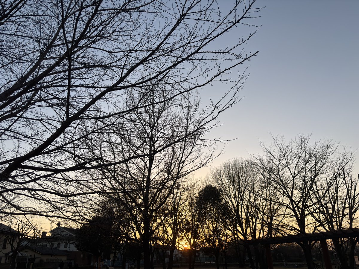 Today's sunset (@summer3532) / Posts / X