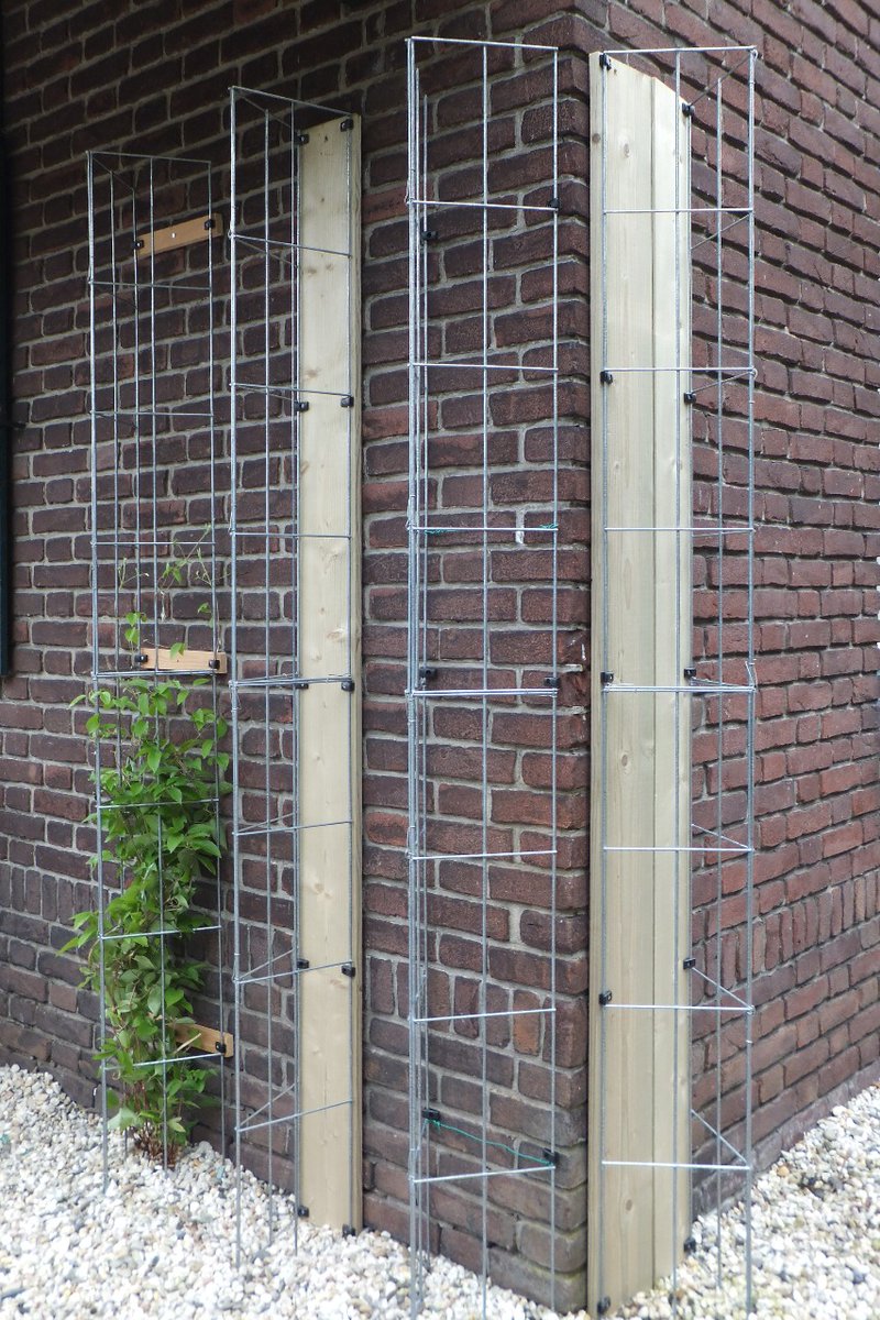 KlimplantenAmsterdam tweet media