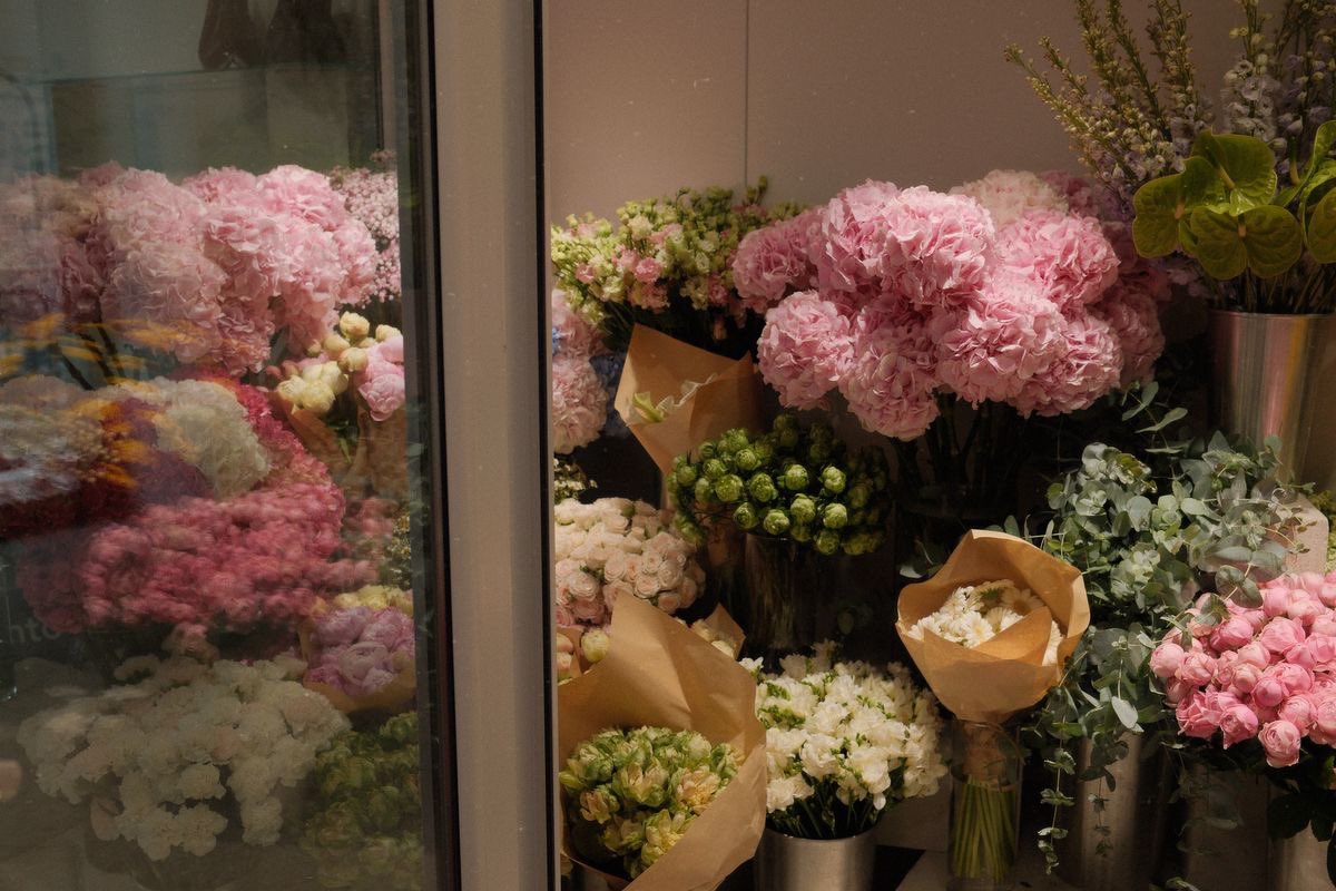 1leio's tweet image. 