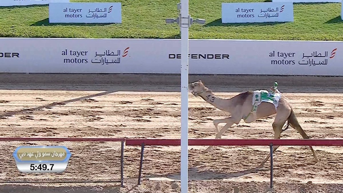 AlnamoosNews's tweet photo. #مهرجان_سمو_ولي_عهد_دبي_2026 ميدان #المرموم السبت 2026/01/17 لسن #الحقايق مسافة 4 كلم - الفترة المسائية - الشوط 5 (سبارك) لـ راشد عساف دغيم الشامري العجمي 5:49:7

https://t.co/t6AHD4PQE7 https://t.co/Ws55SWs8e6