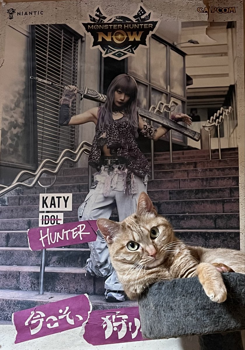ひと狩りいこうにゃฅ^•ω•^ฅ #モンハンnow #モンハン #KATY #茶トラ