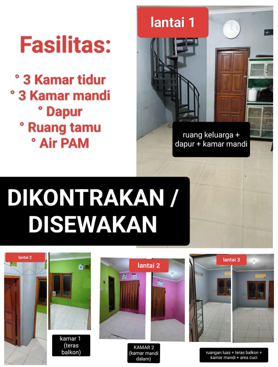 •_•y🐺🐰99 tweet media