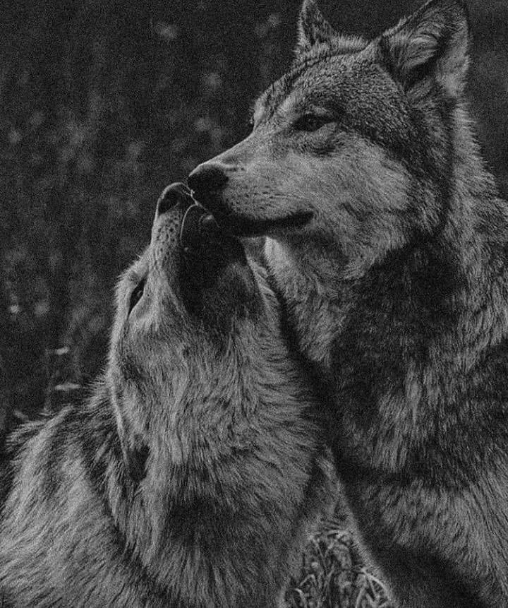 “Her erin bahtına bir güzel düşer.”