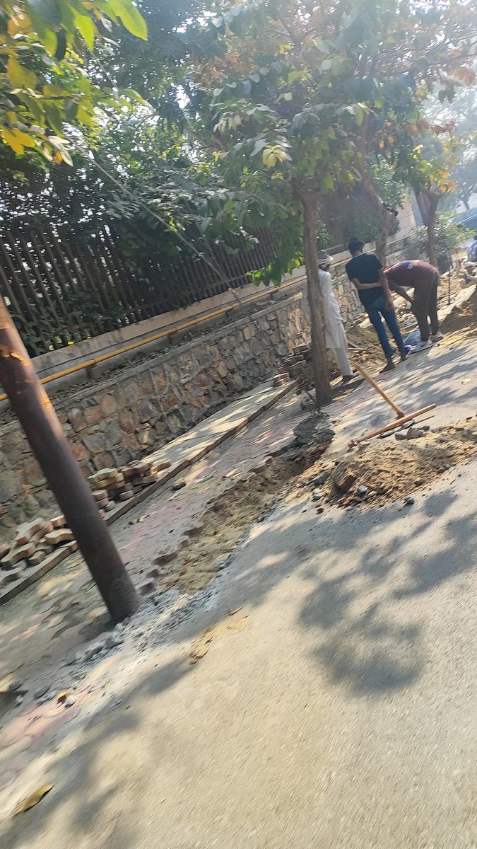 Mango Man *Amiit Gupta* tweet media