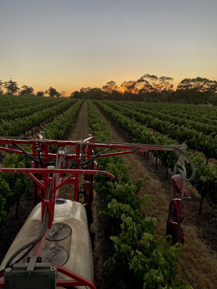 Steve Schiller tweet media