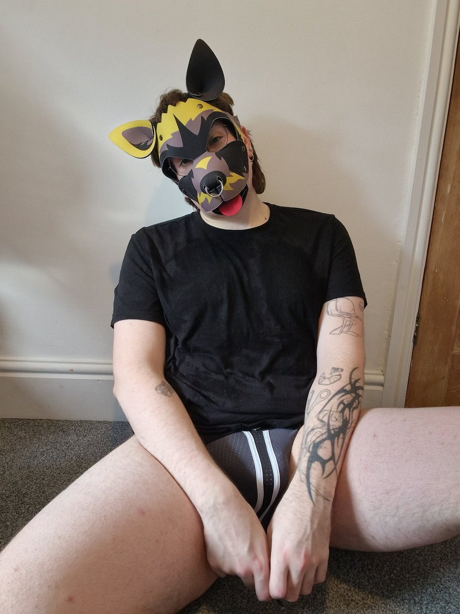 Pup Nimo ✨ tweet media