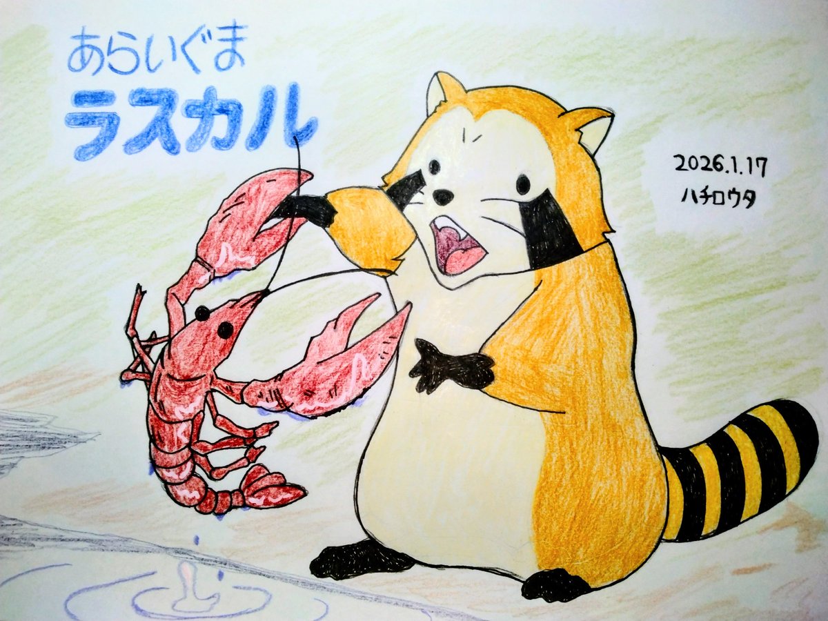 J：COM BS #あらいぐまラスカル 全話放送を見てラスカルの声を野沢雅子