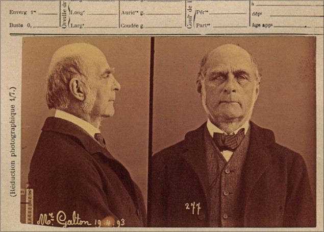 Павел Комаровский tweet media