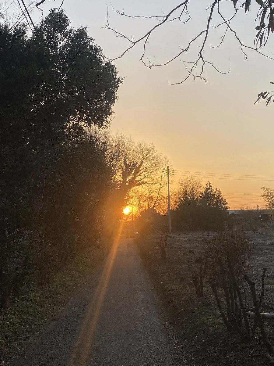 soukengogo's tweet photo. 構造美に癒される

いつもと違う景色を見ようと思えるほど
メンタルにゆとりがある日だった https://t.co/ElkfoZlMIs