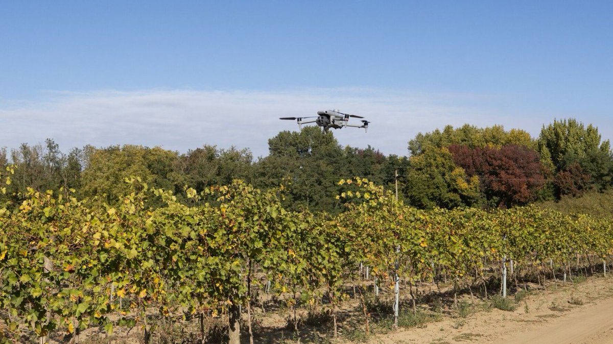 Proofminder tweet media