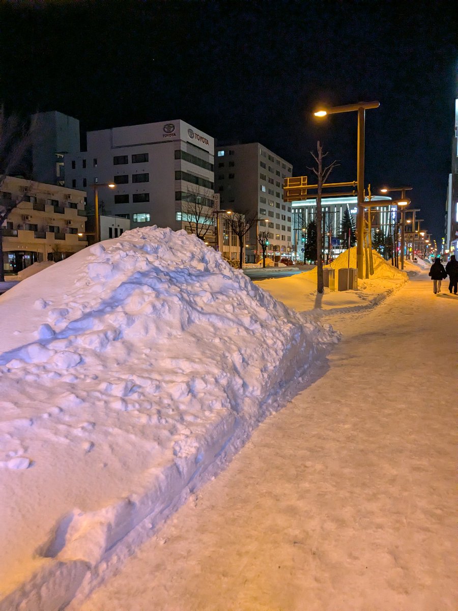 pyro5040's tweet image. 北の大地の洗礼を受けてる