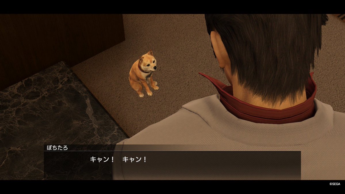 ハリ坊 (@radio_HARIBO) / Posts / X