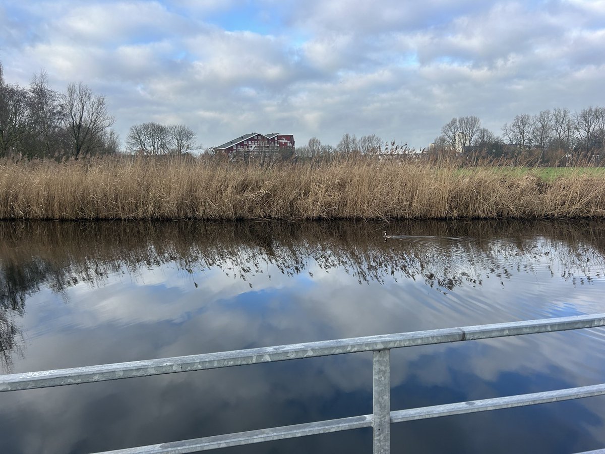 Lekkere ochtendwandeling gemaakt in het Midden Delfland 👍🏻😊