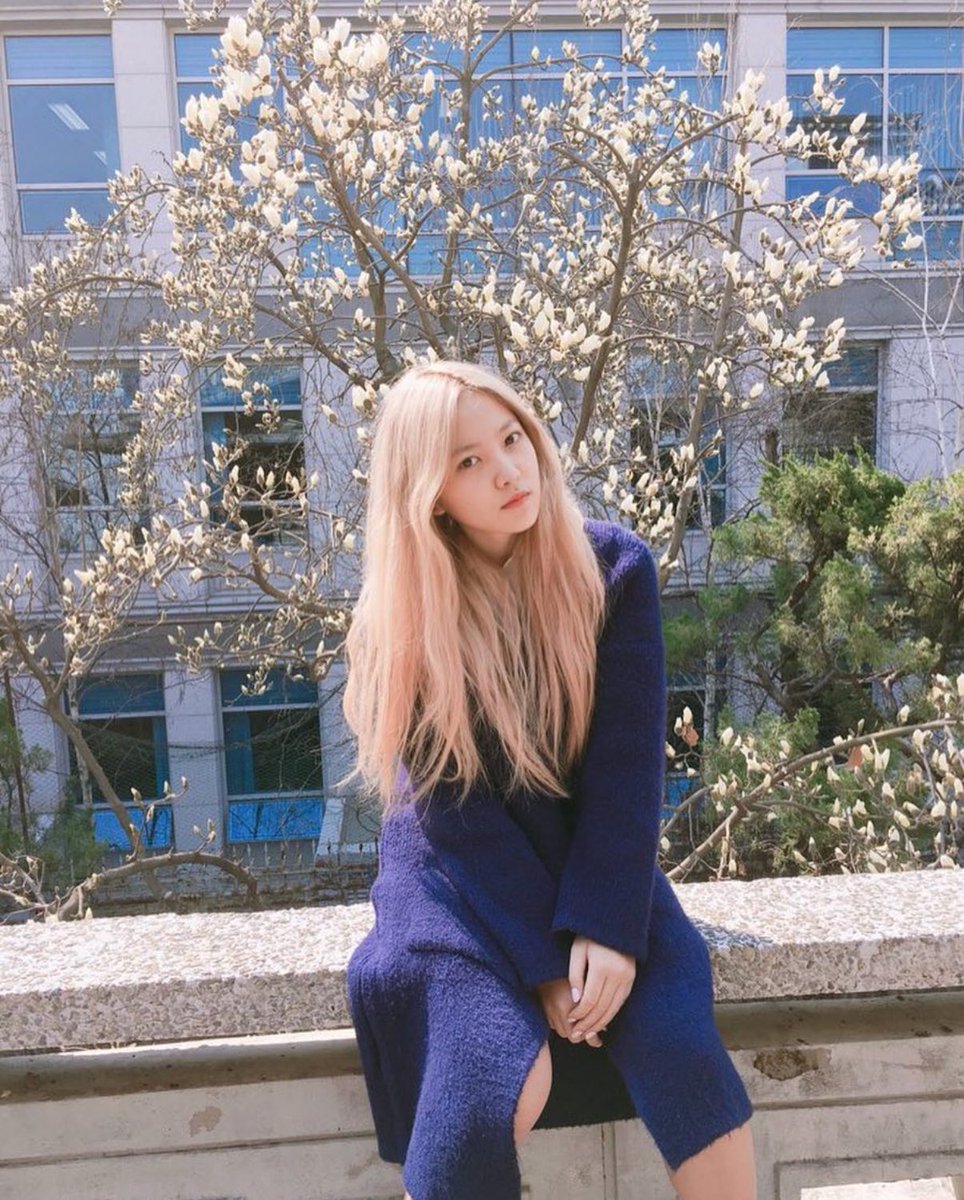 사진만 봐도 2016년 봄이 떠오르게 만든다고😭