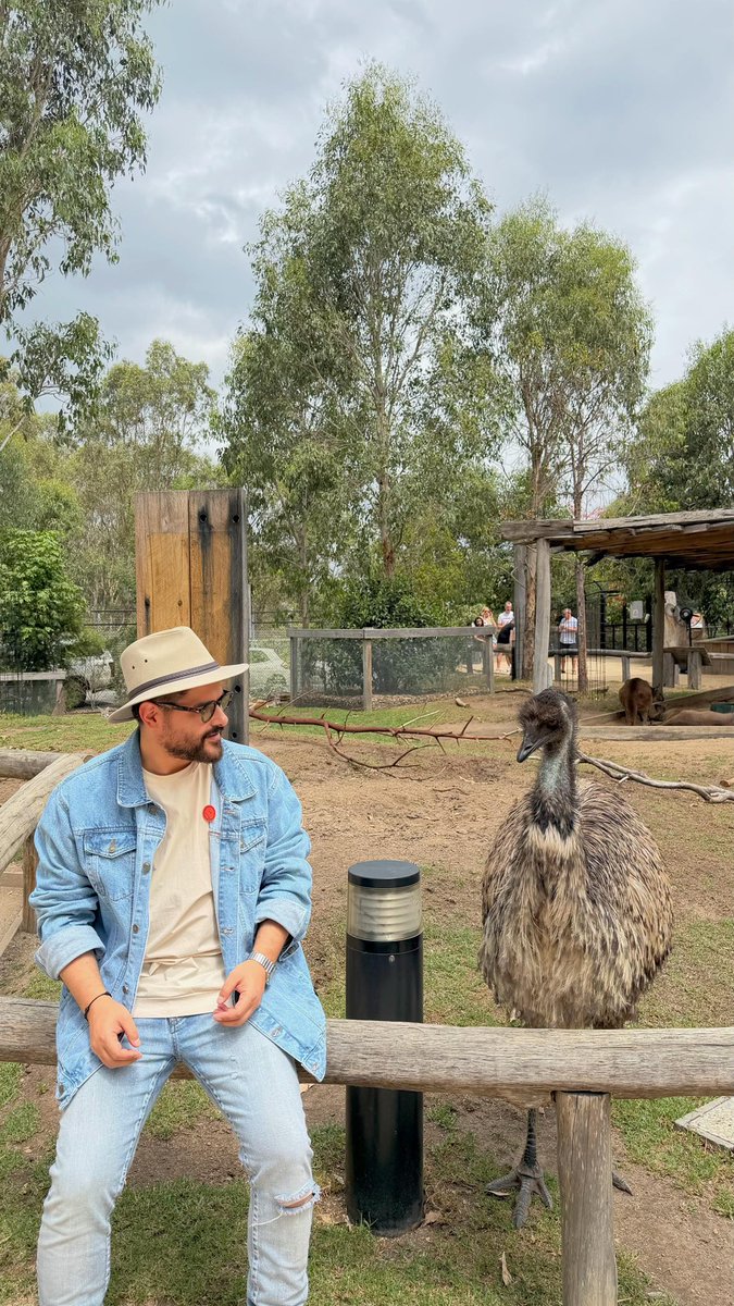 NassifZeytoun's tweet photo. في احلى من هل الكزدورة ؟ 🦒🦘

#NassifZeytoun | #مني_أنا   | #Sydney | #TeamNassif | #Kazdoura https://t.co/ERln6ImdUQ