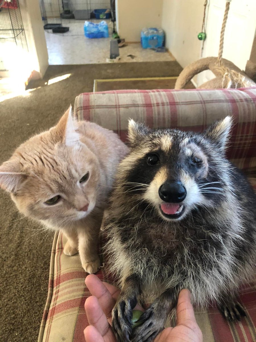 형                                             나 주는 고야..?
형 지금 누구 손 잡아