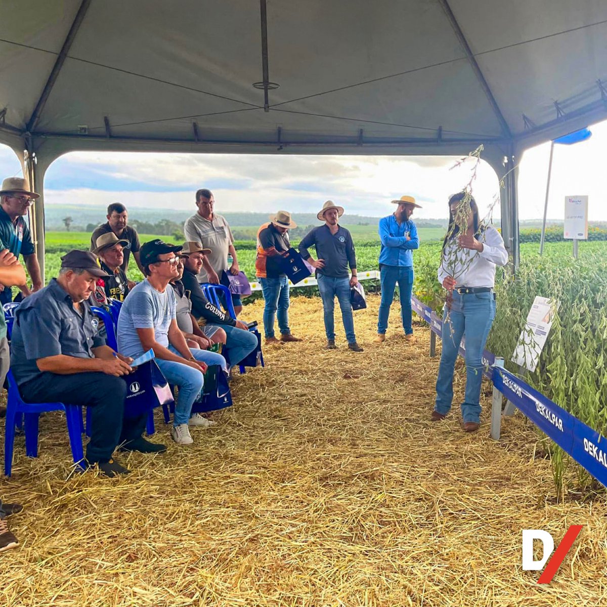 Gracias a todos los productores y técnicos que nos acompañaron en el Día de Campo de Soja 🌱
16/01 – Coop. Naranjito 🚜

#Dekalpar #soja #DíaDeCampo
