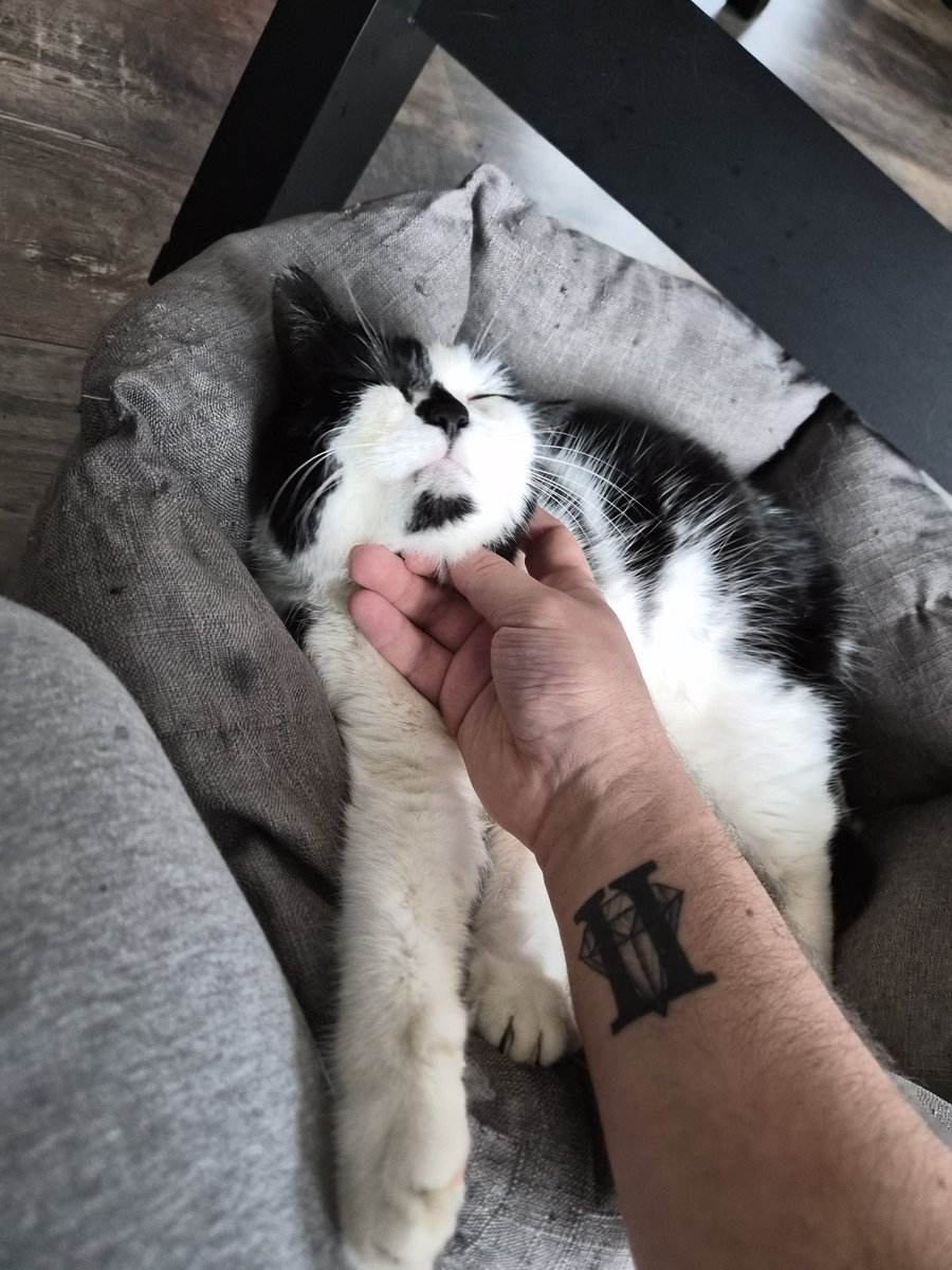 Luiroï 🍂 tweet media