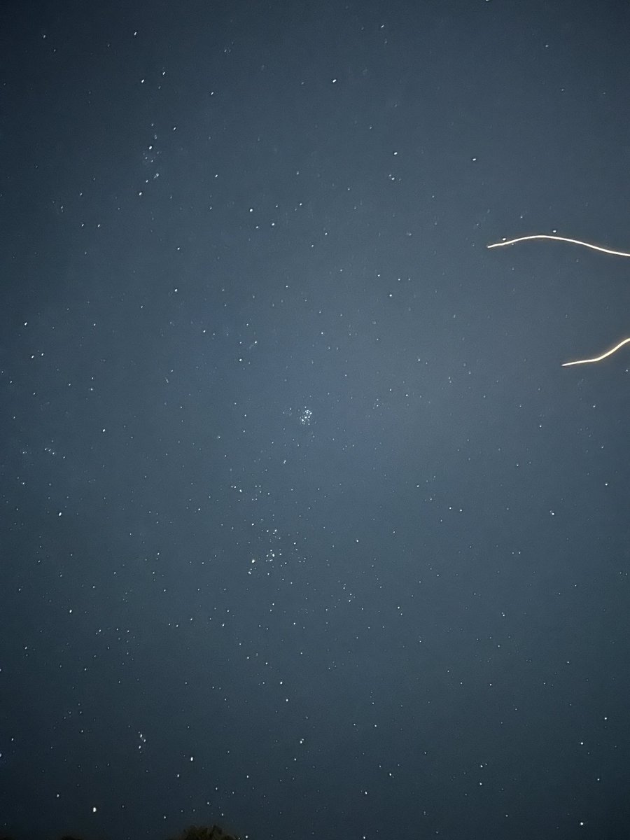 今日は星がよく見える