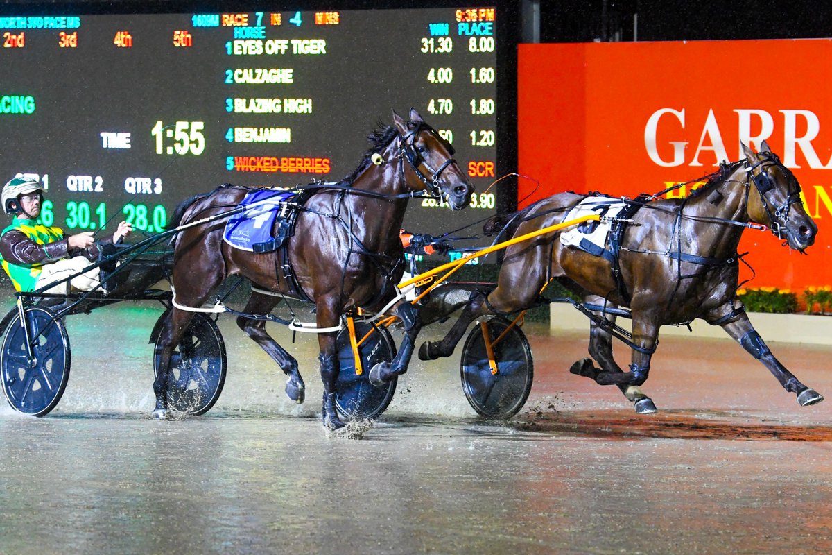 Club Menangle tweet media