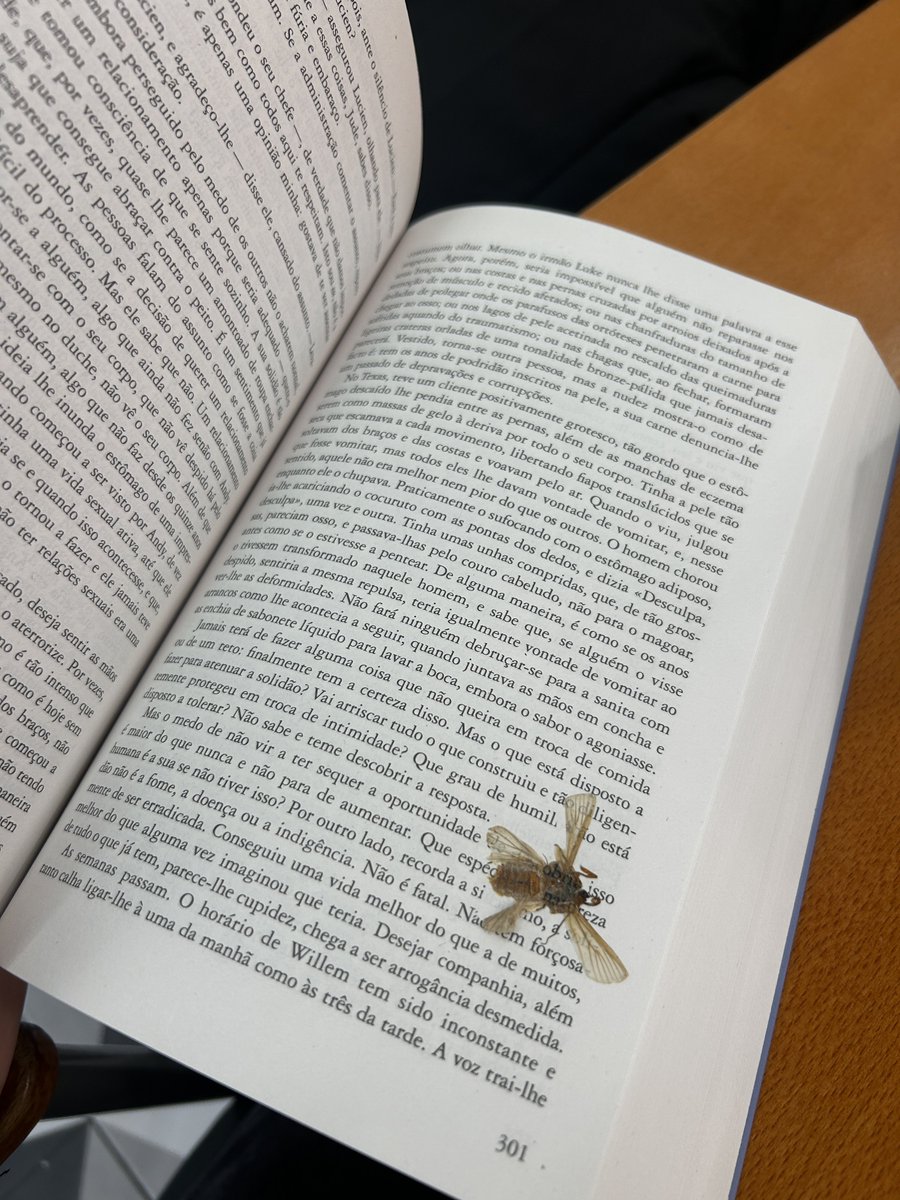 barbas_marques's tweet photo. Se fosse um livro do Kafka era mais imersivo… e engraçado! https://t.co/fcp1dY0I1M