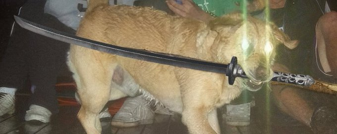 Jisb ☁️ tweet media