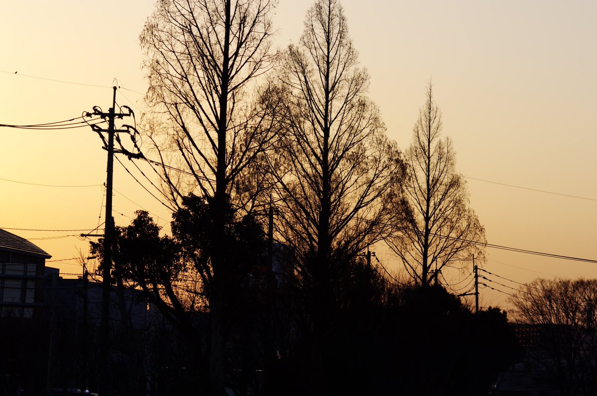 m32camera's tweet image. 