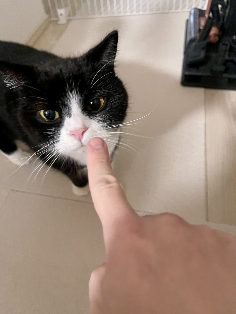 たろう (@taro20216) / Posts / X