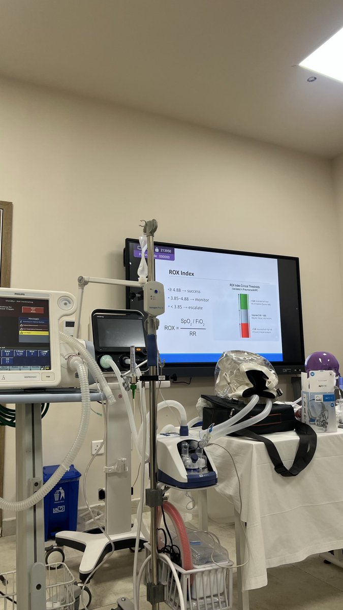 Meshal ✨ tweet media