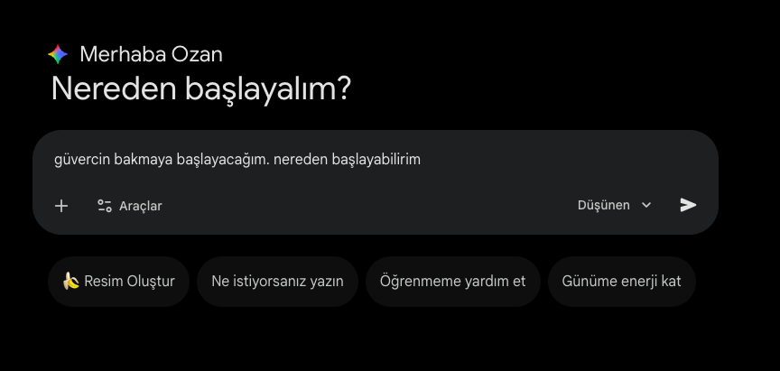 bir yerden başlayalım bakalım.