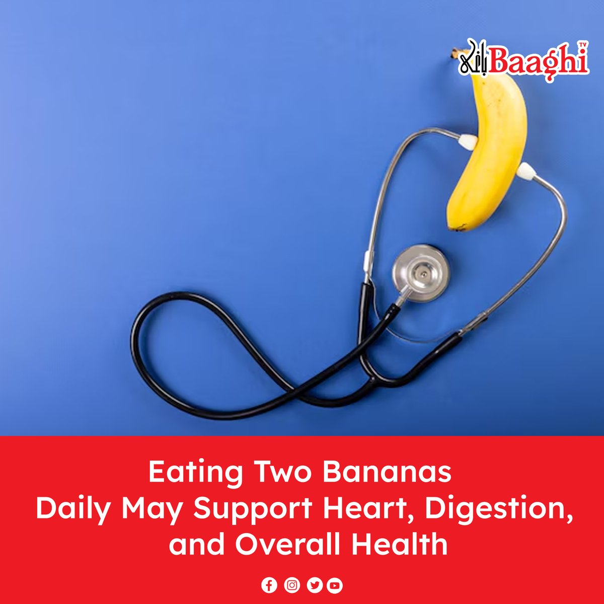 BaaghiTV's tweet image. Eating Two Bananas Daily May Support Heart, Digestion, and Overall Health

#BaaghiTV #HealthNews #Nutrition #HealthyDiet #Wellness #Bananas #HeartHealth

en.baaghitv.com/eating-two-ban…