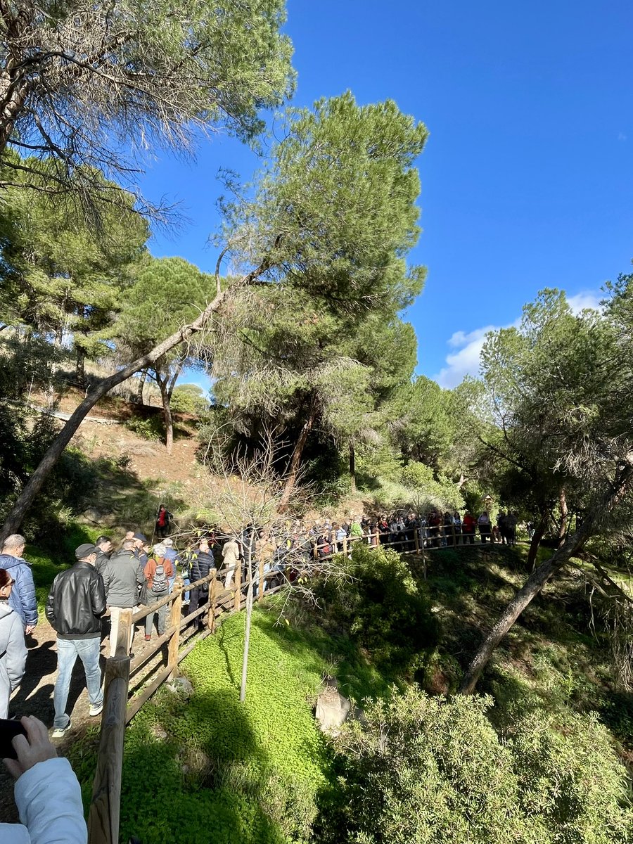 AAJBHC's tweet image. Comenzamos nuestra jornada sobre el Pinsapo organizada por nuestra Asociación en @JBHConcepcion con un paseo por la Ruta Forestal que estamos reforestado
@malaga