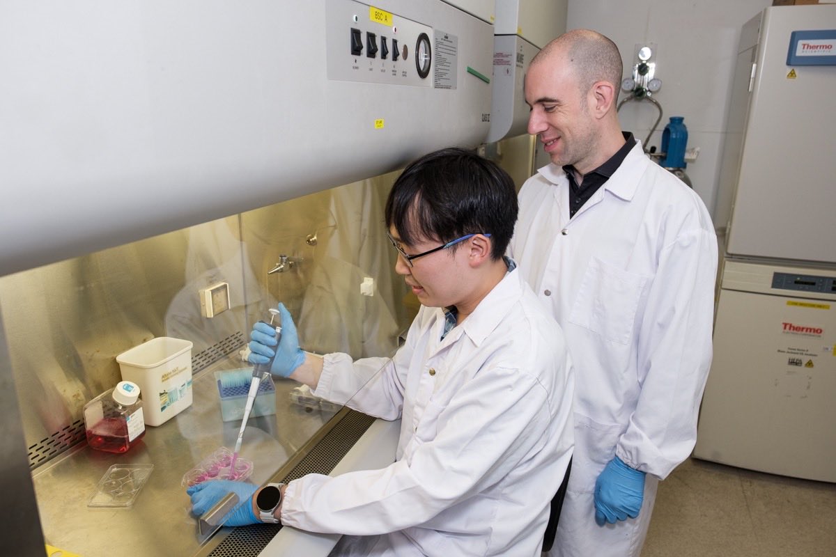 NTU Singapore tweet media