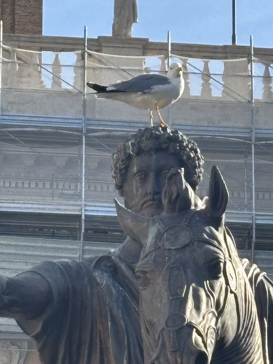 DavidHuntGirt's tweet photo. Bloody Roman rip off artists. #Girt https://t.co/lBISJSGc4Q