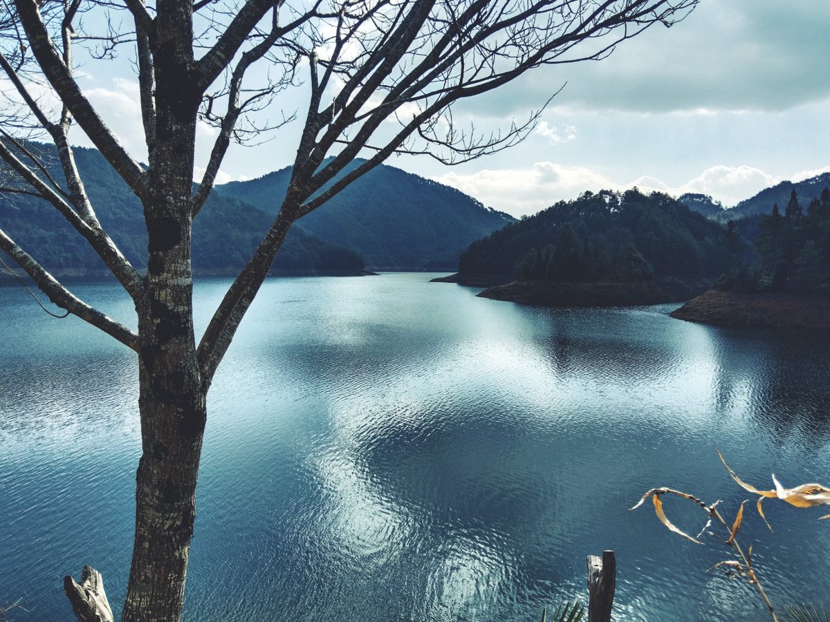 rr_rupesh's tweet photo. 「晨雾漫山时出发，遇云海翻涌，风里都是松针香～」， https://t.co/nrql41PsRD