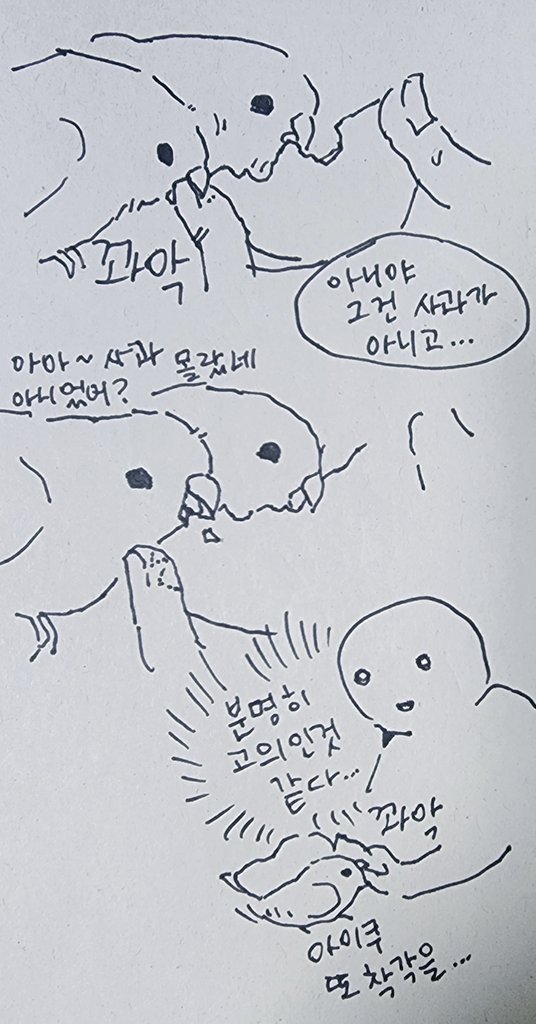 이녀석들... 착각한게 아닌것같은데...