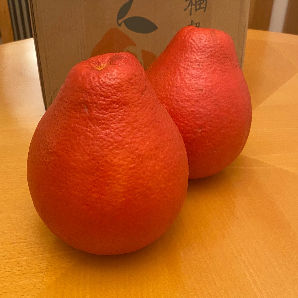 みかんノート (@mikanflavor1) / Posts / X