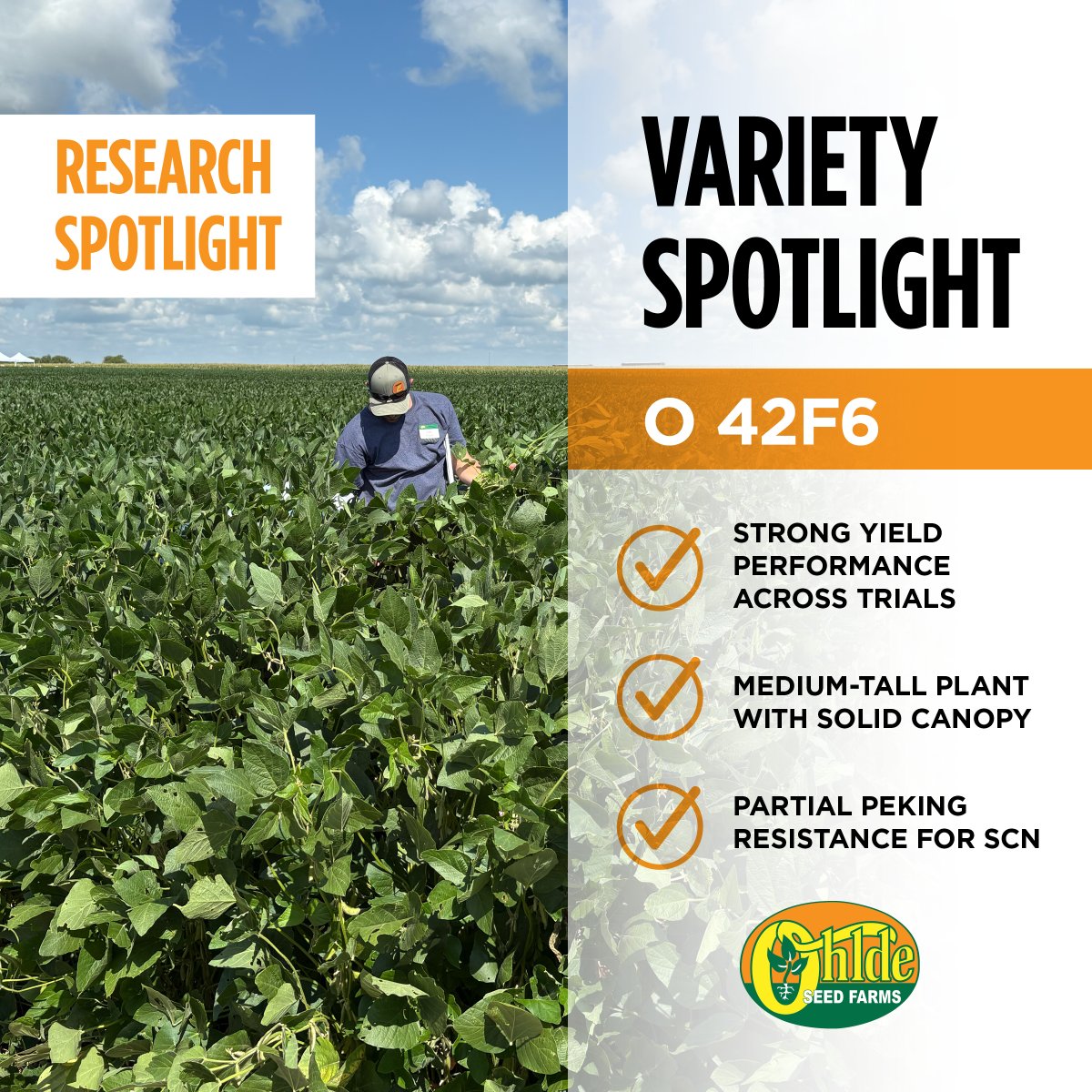 Ohlde Seed tweet media