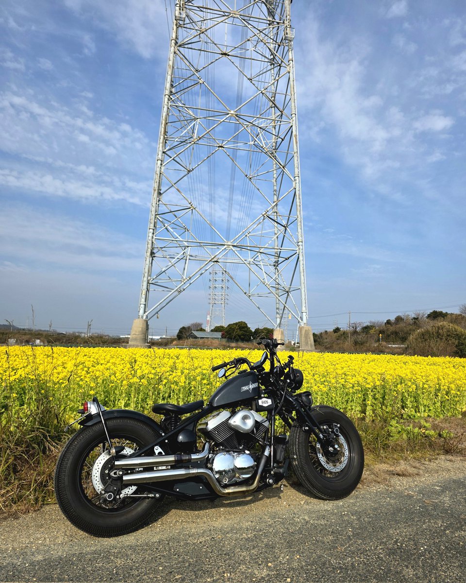 thunder250hd's tweet photo. 渥美半島
菜の花が満開🌼

#thunder250
#菜の花
#渥美半島 https://t.co/zICaVLtiB5