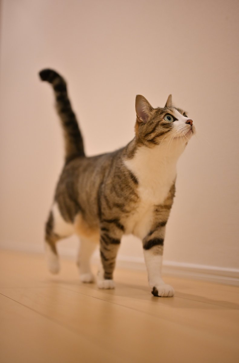 本日のベストショット