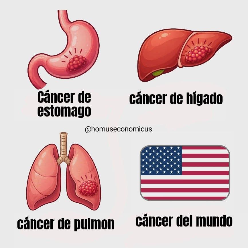 CoralTeresa's tweet image. Tipos de cáncer: