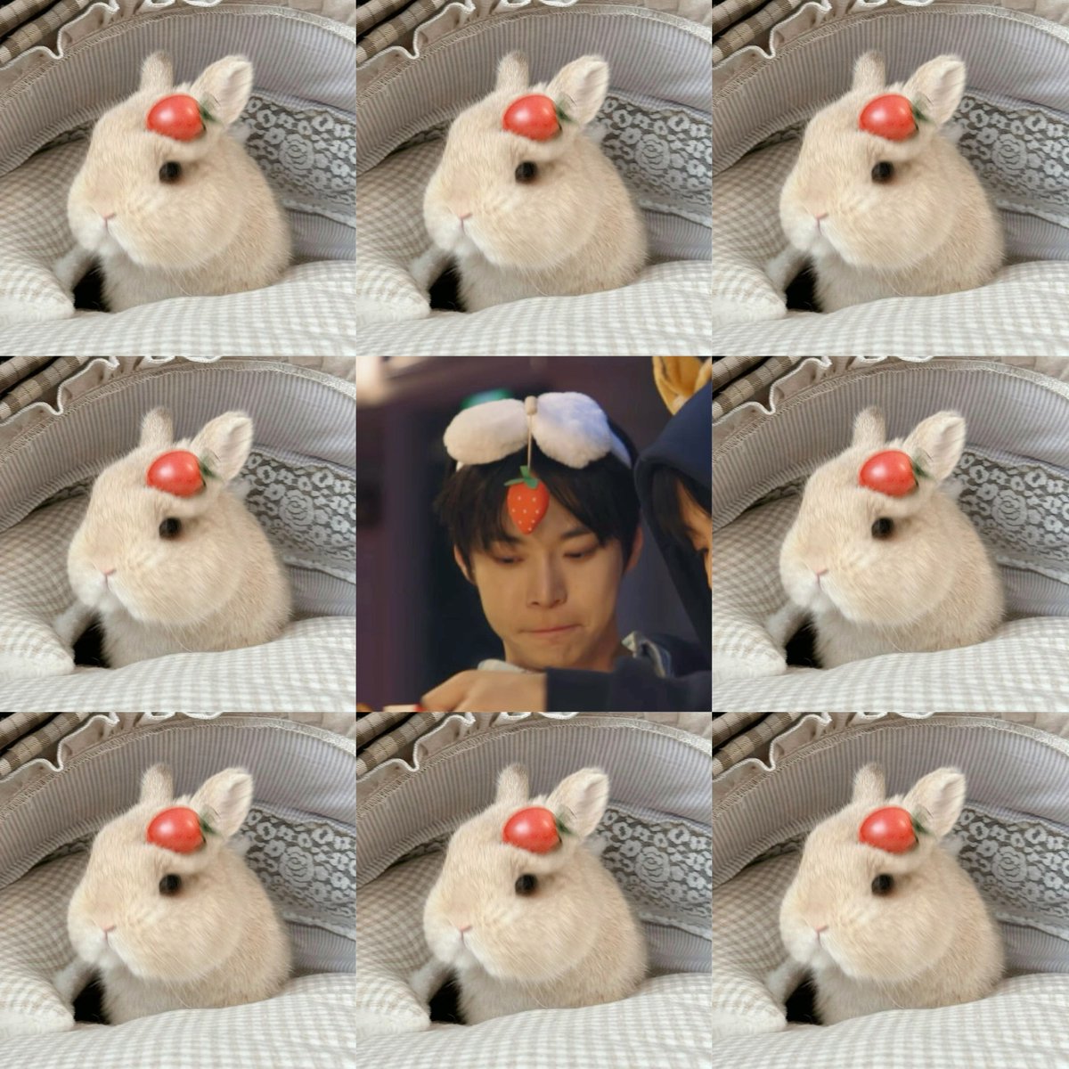 tipsyonseoul's tweet image. 도영 D-506

딸끼 도영

#도영 #DOYOUNG