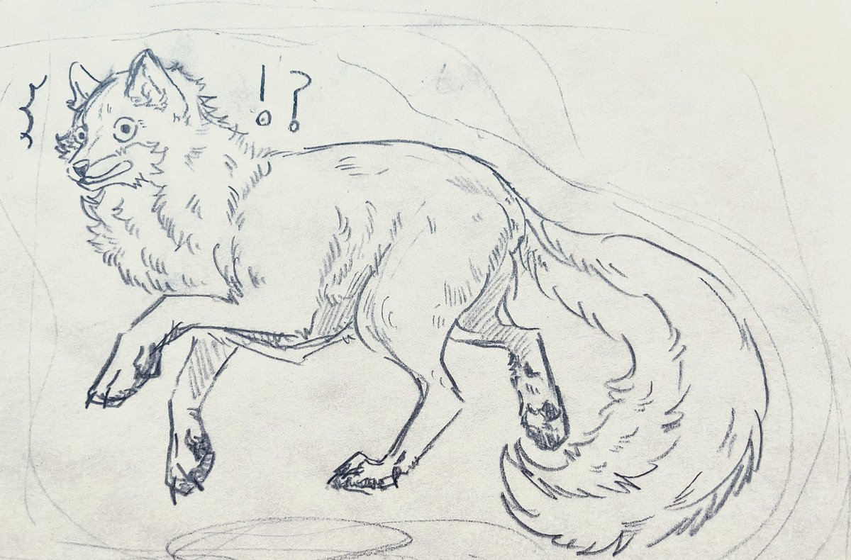 可愛いオオカミちゃん❤️ 驚いてるのが可愛い🥰 最近は色々詰め込み