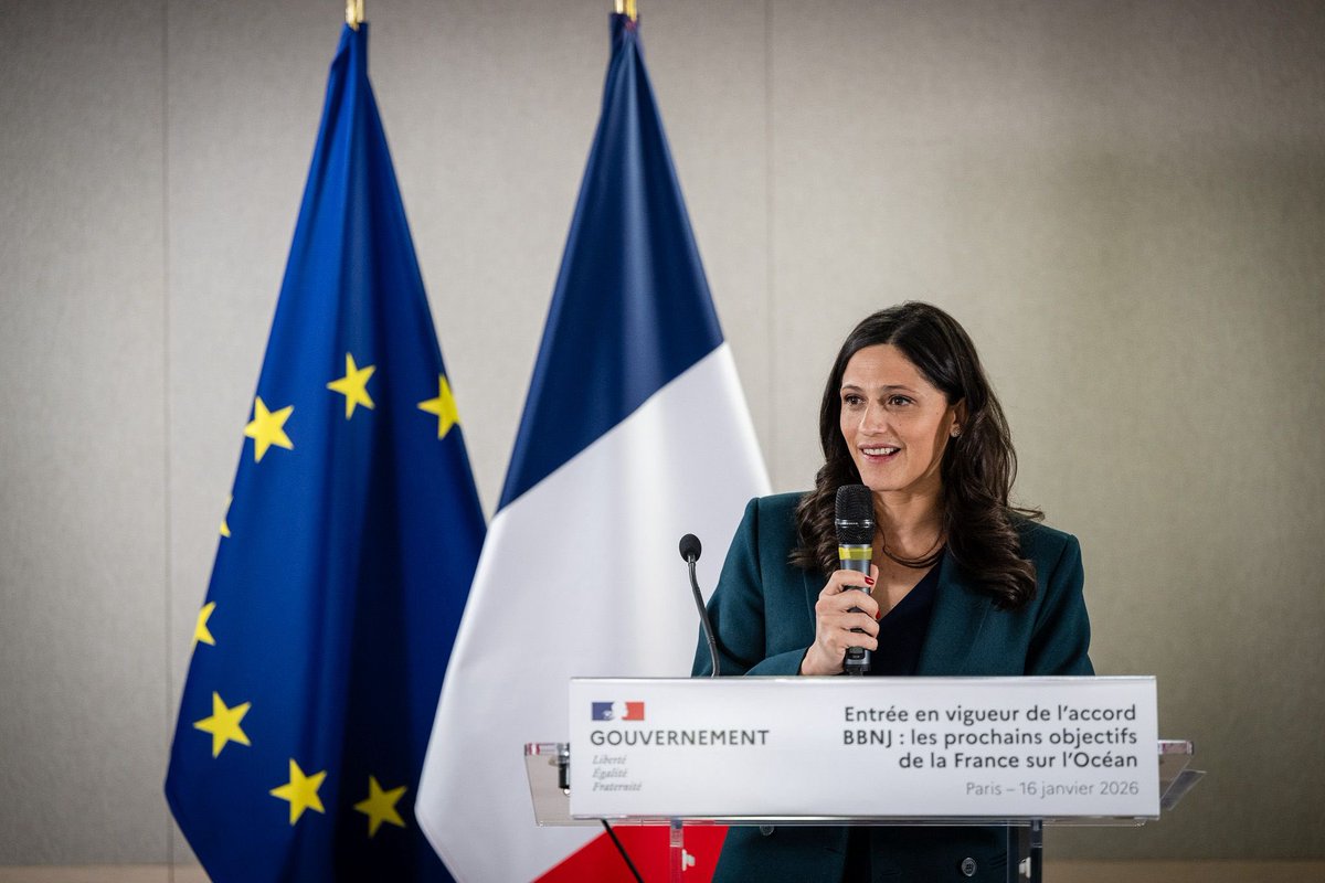 Éléonore Caroit tweet media