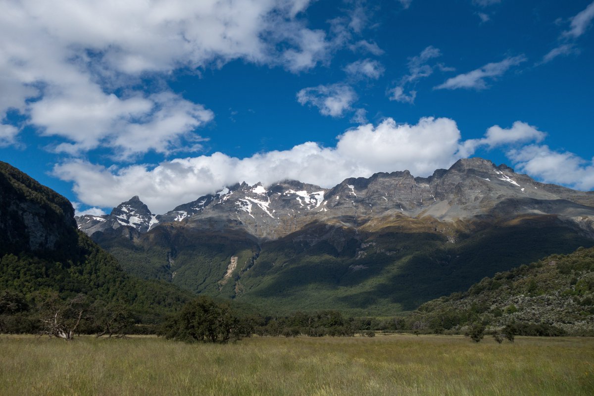 Reference Pictures for Artists tweet media