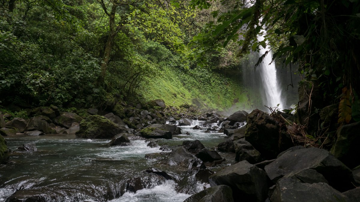 Reference Pictures for Artists tweet media