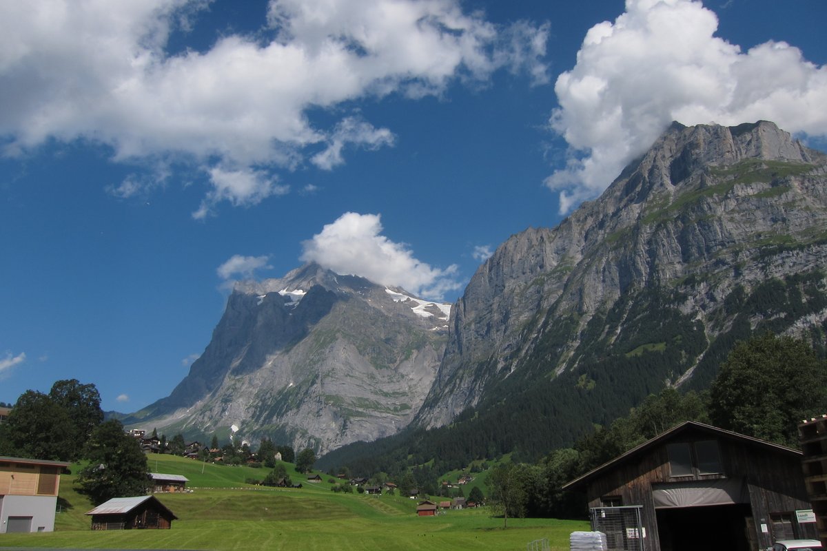 Reference Pictures for Artists tweet media