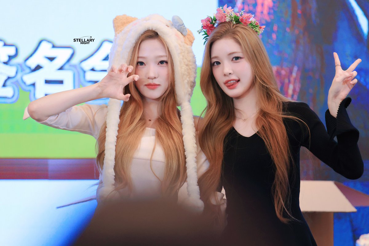 STELLARY Night tweet media