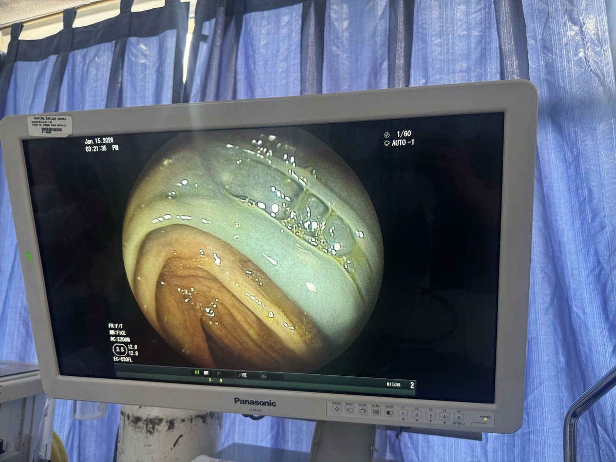 GabrielaDiazMora (@gabrieladiazmo8) on Twitter photo 